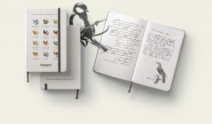 Cuaderno Papageno Birding